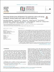 Dissecting chicken germ cell dynamics by combining a germ cell tracing transgenic chicken model with single-cell RNA sequencing