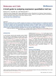 A brief guide to analyzing expression quantitative trait loci