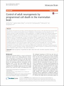 Control of adult neurogenesis by programmed cell death in the mammalian brain