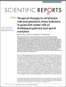 Temporal changes in cell division rate and genotoxic stress tolerance in quiescent center cells of Arabidopsis primary root apical meristem