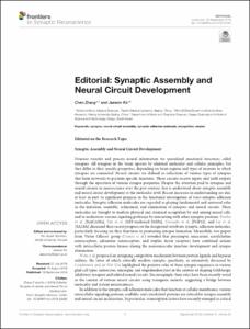 Editorial: Synaptic Assembly and Neural Circuit Development