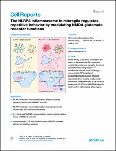 The NLRP3 inflammasome in microglia regulates repetitive behavior by modulating NMDA glutamate receptor functions