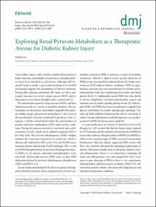 Exploring Renal Pyruvate Metabolism as a Therapeutic Avenue for Diabetic Kidney Injury