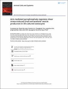 Ank-mediated pyrophosphate regulates shear stress-induced small extracellular vesicle production in 3D-cultured osteocytes