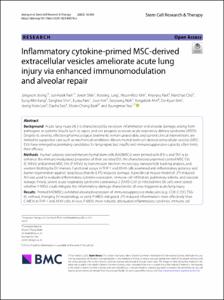 Inflammatory cytokine-primed MSC-derived extracellular vesicles ameliorate acute lung injury via enhanced immunomodulation and alveolar repair