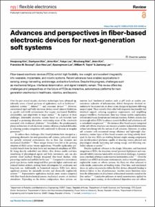 Advances and perspectives in fiber-based electronic devices for next-generation soft systems