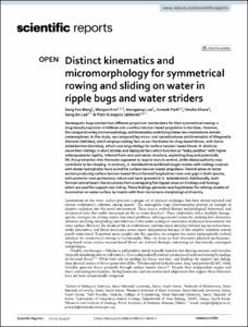 Distinct kinematics and micromorphology for symmetrical rowing and sliding on water in ripple bugs and water striders
