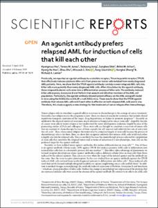 An agonist antibody prefers relapsed AML for induction of cells that kill each other
