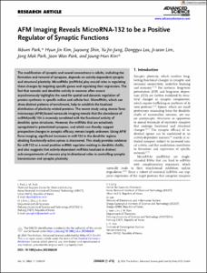 AFM Imaging Reveals MicroRNA-132 to be a Positive Regulator of Synaptic Functions