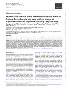 Quantitative analysis of the dexamethasone side effect on human-derived young and aged skeletal muscle by myotube and nuclei segmentation using deep learning