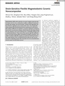 Strain-Sensitive Flexible Magnetoelectric Ceramic Nanocomposites