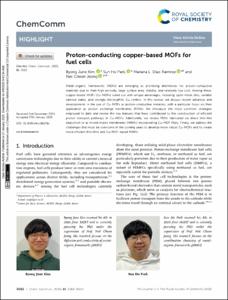 Proton-conducting copper-based MOFs for fuel cells