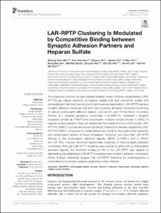 LAR-RPTP Clustering Is Modulated by Competitive Binding between Synaptic Adhesion Partners and Heparan Sulfate