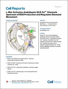 L-Met Activates Arabidopsis GLR Ca2+ Channels Upstream of ROS Production and Regulates Stomatal Movement