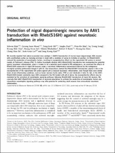 Protection of nigral dopaminergic neurons by AAV1 transduction with Rheb(S16H) against neurotoxic inflammation in vivo