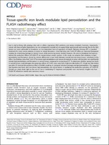 Tissue-specific iron levels modulate lipid peroxidation and the FLASH radiotherapy effect