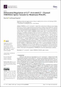 Differential regulation of ca2+-activated cl− channel tmem16a splice variants by membrane pi(4,5)p2