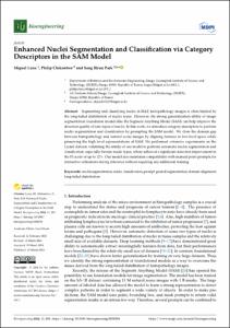 Enhanced Nuclei Segmentation and Classification via Category Descriptors in the SAM Model