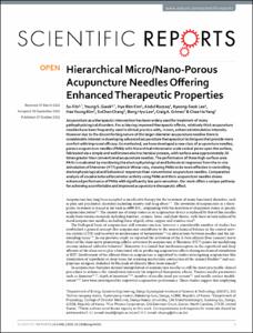 Hierarchical Micro/Nano-Porous Acupuncture Needles Offering Enhanced Therapeutic Properties