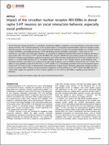 Impact of the circadian nuclear receptor REV-ERBα in dorsal raphe 5-HT neurons on social interaction behavior, especially social preference