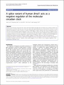 A splice variant of human Bmal1 acts as a negative regulator of the molecular circadian clock