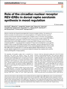 Role of the circadian nuclear receptor REV-ERBα in dorsal raphe serotonin synthesis in mood regulation