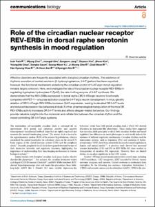 Role of the circadian nuclear receptor REV-ERBα in dorsal raphe serotonin synthesis in mood regulation