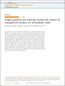 Single quantum dot tracking reveals the impact of nanoparticle surface on intracellular state