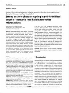 Strong exciton-photon coupling in self-hybridized organic-inorganic lead halide perovskite microcavities