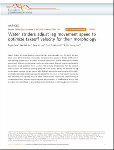 Water striders adjust leg movement speed to optimize takeoff velocity for their morphology