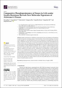 Comparative Phosphoproteomics of Neuro‐2a Cells under Insulin Resistance Reveals New Molecular Signatures of Alzheimer’s Disease