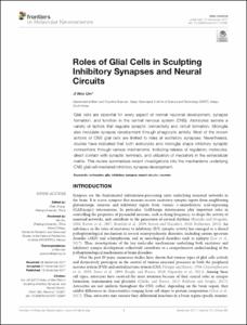 Roles of Glial Cells in Sculpting Inhibitory Synapses and Neural Circuits