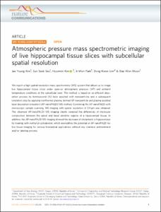 Atmospheric pressure mass spectrometric imaging of live hippocampal tissue slices with subcellular spatial resolution