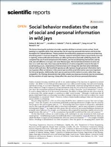 Social behavior mediates the use of social and personal information in wild jays