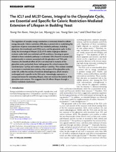 The ICL1 and MLS1 Genes, Integral to the Glyoxylate Cycle, are Essential and Specific for Caloric Restriction-Mediated Extension of Lifespan in Budding Yeast