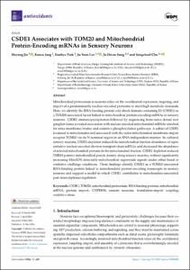 CSDE1 Associates with TOM20 and Mitochondrial Protein-Encoding mRNAs in Sensory Neurons