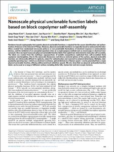 Nanoscale physical unclonable function labels based on block co-polymer self-assembly