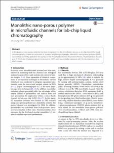 Monolithic nano-porous polymer in microfluidic channels for lab-chip liquid chromatography