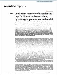 Long-term memory of experienced jays facilitates problem-solving by naïve group members in the wild