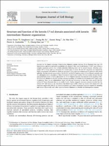 Structure and function of the keratin 17 tail domain associated with keratin intermediate filament organization