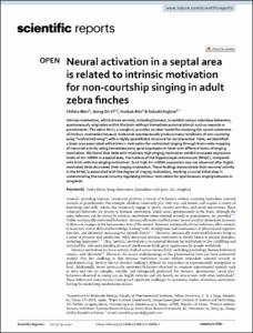 Neural activation in a septal area is related to intrinsic motivation for non-courtship singing in adult zebra finches