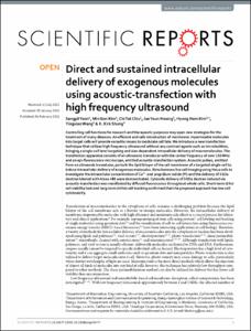 Direct and sustained intracellular delivery of exogenous molecules using acoustic-transfection with high frequency ultrasound