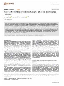 Mesocorticolimbic circuit mechanisms of social dominance behavior