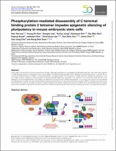 Phosphorylation-mediated disassembly of C-terminal binding protein 2 tetramer impedes epigenetic silencing of pluripotency in mouse embryonic stem cells