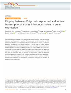 Flipping between Polycomb repressed and active transcriptional states introduces noise in gene expression
