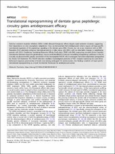 Translational reprogramming of dentate gyrus peptidergic circuitry gates antidepressant efficacy