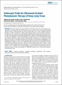 Endoscopic Probe for Ultrasound-Assisted Photodynamic Therapy of Deep-Lying Tissue