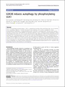 GSK3B induces autophagy by phosphorylating ULK1