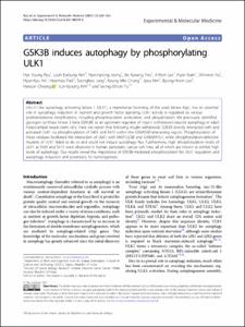 GSK3B induces autophagy by phosphorylating ULK1