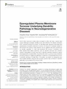 Dysregulated Plasma Membrane Turnover Underlying Dendritic Pathology in Neurodegenerative Diseases